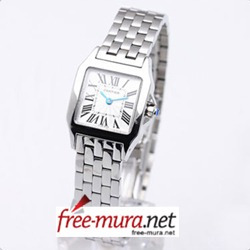 까르띠에 산토스 드모아젤 Ladies