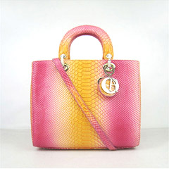 크리스찬 디올 1886 토트 뱀피 프린트 레인보우