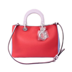 블랙크리스찬디올 디올리시모 미듐 멀티컬러