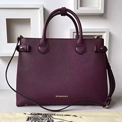 버버리 토드&숄더백