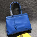 고야드 삭하디 쇼퍼백