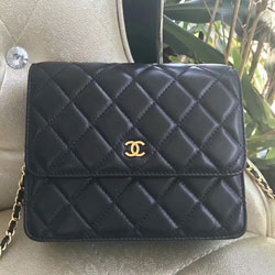 샤넬 WOC백 CH-20180117