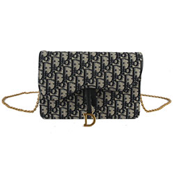 크리스찬디올  클러치WOC백  190123