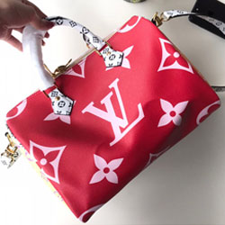  루이 비통 스피디 반둘리에 30  M44573