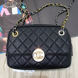 샤넬 코스메틱 케이스 19cm  191023