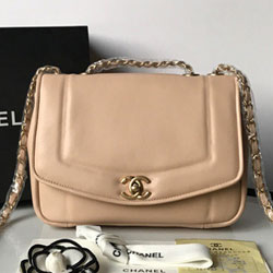 샤넬 플랩 백 A92239