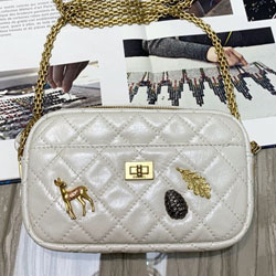 샤넬 카메라 케이스 AS200302