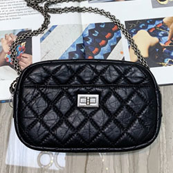 샤넬 카메라 케이스 AS200302