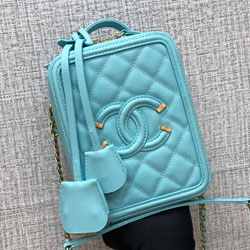 샤넬 카메라 케이스 AS200319