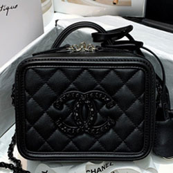 샤넬 카메라 케이스 17cm 201014