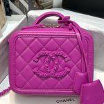 샤넬 카메라 케이스 17cm 201014