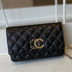 샤넬 플랩 WOC백 CH201102