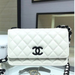 샤넬 플랩 WOC백 19cm