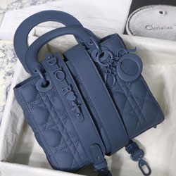 크리스찬디올 토드백 20cm DR-210107