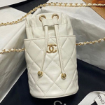 샤넬 체인 플랩 동전백 AS2259