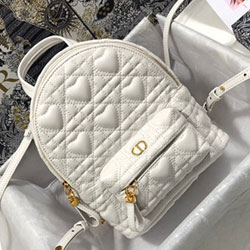 크리스찬디올 백팩 M9222