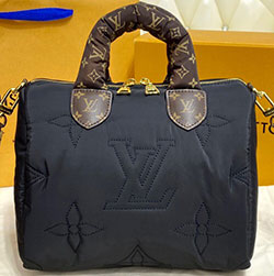 루이비통 스피디 반둘리에 25 M59008