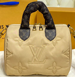 루이비통 스피디 반둘리에 25 M59009