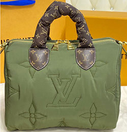 루이비통 스피디 반둘리에 25 M59009