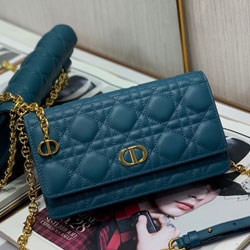 크리스찬디올 크로스백 DR220225