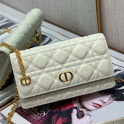 크리스찬디올 크로스백 DR220225