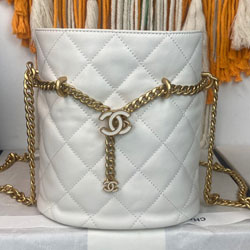 샤넬 토트 백 20cm AS3117