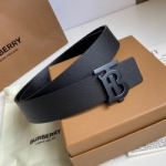 버버리   B-738493