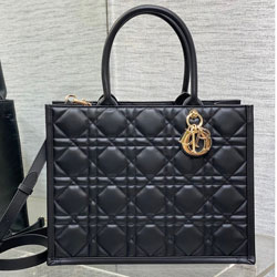 크리스찬디올 핸드백 240618