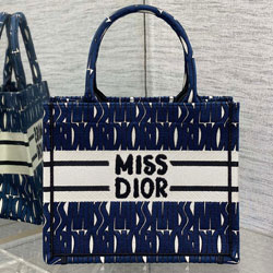 크리스찬디올 숄더백 26cm 0910